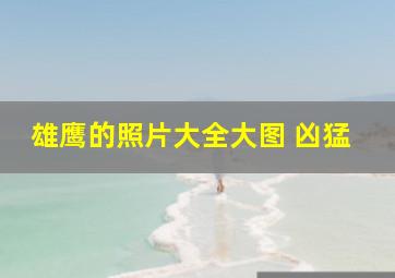 雄鹰的照片大全大图 凶猛